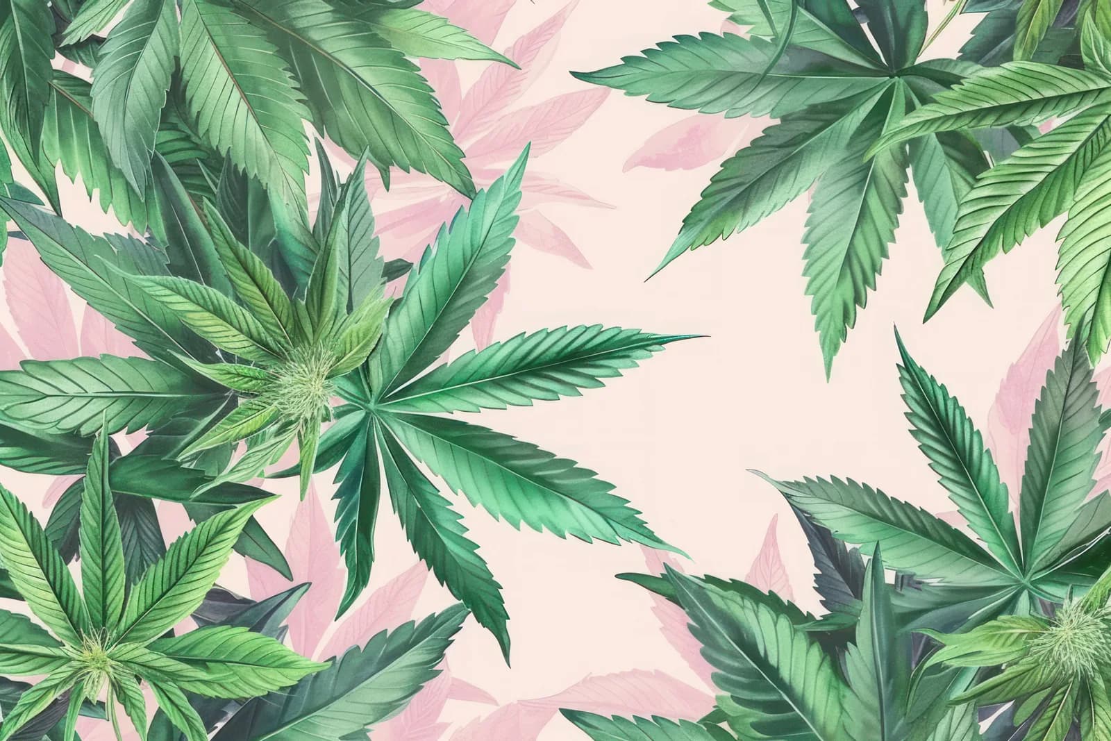 AI Collection Verdant Haze