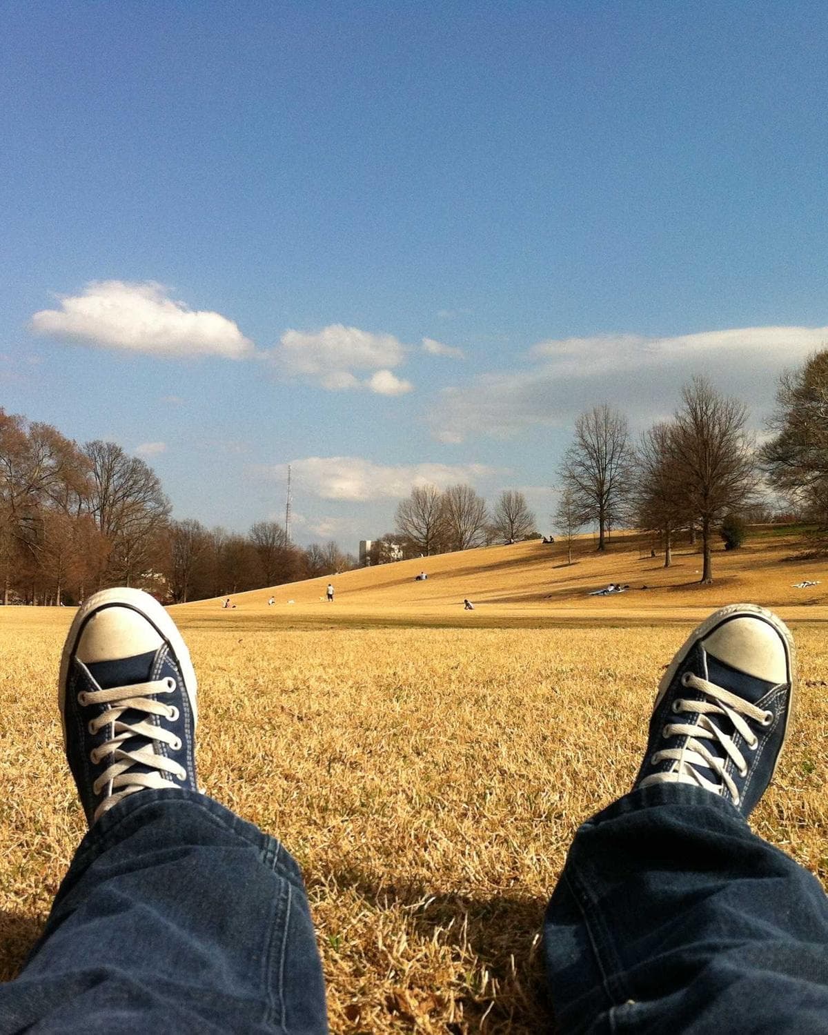 Arcana Collection Celestial