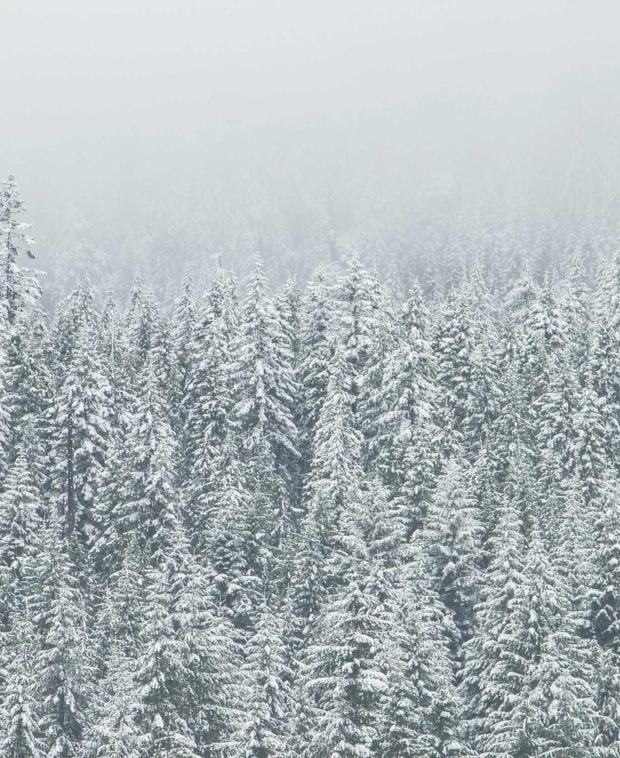 Lunar Collection Full Moon