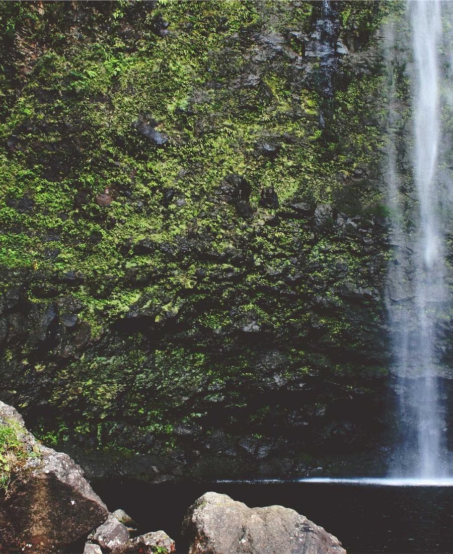 Valhalla Collection Futhark